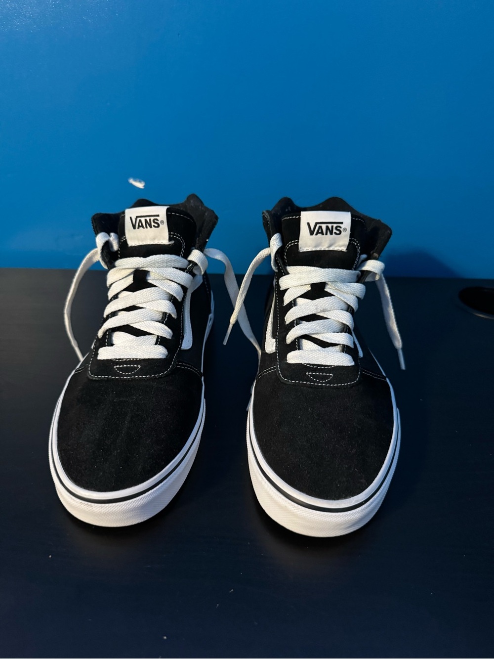 Vans Black and White High-Top Skate Sneakers